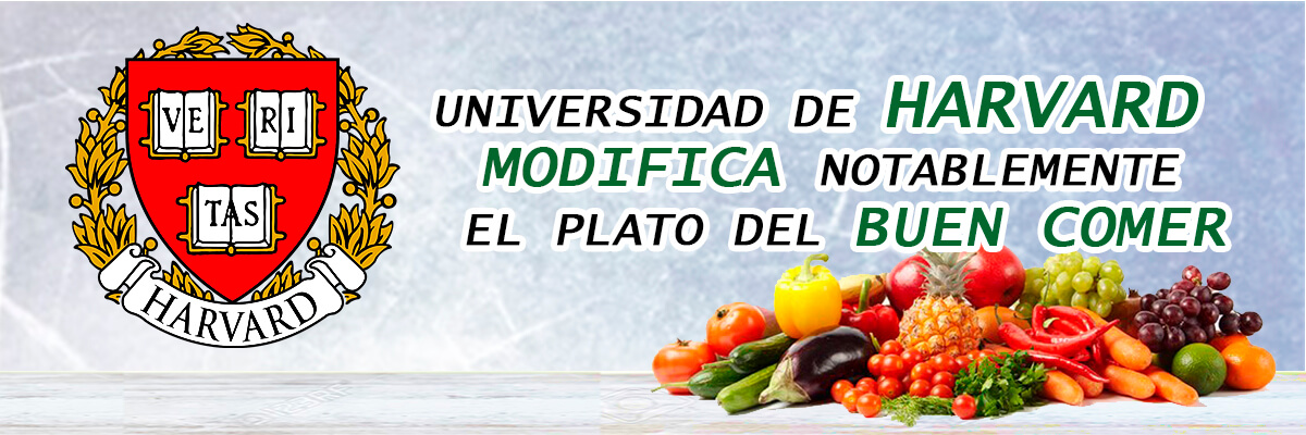 Universidad De Harvard Modifica Notablemente El Plato Del Buen